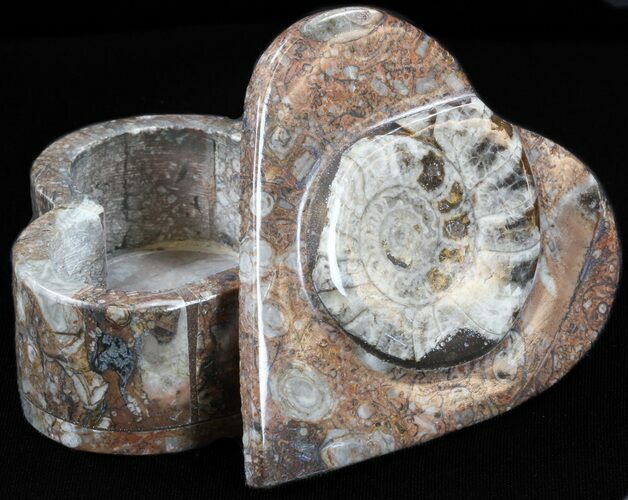 Heart-Shaped Fossil Goniatites Box - (Brown) #37975